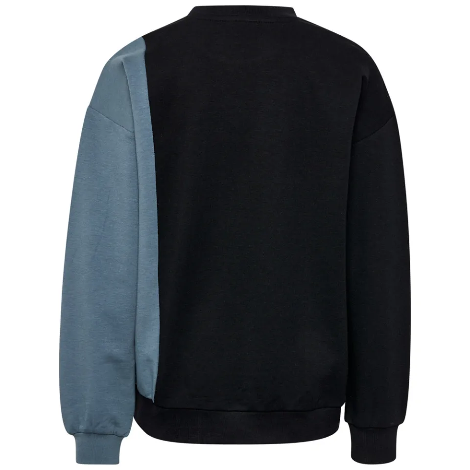 Hummel Sweatshirt hmlLOMBUS 